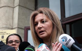 Irina Schrotter: "Nu am nicio calitate în dosarul de evaziune"