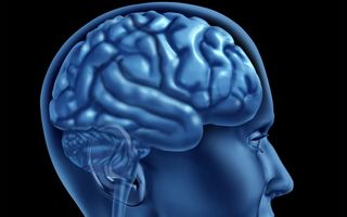 Atacul vascular cerebral: Top 5 întrebări şi răspunsurile expertului