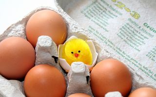 Studiu: Ouăle îi fac pe oameni să devină mai generoşi