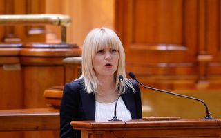 Elena Udrea, către parlamentari: "Am fost dezbrăcată în arestul Poliţiei Capitalei, mi s-a luat sutienul"