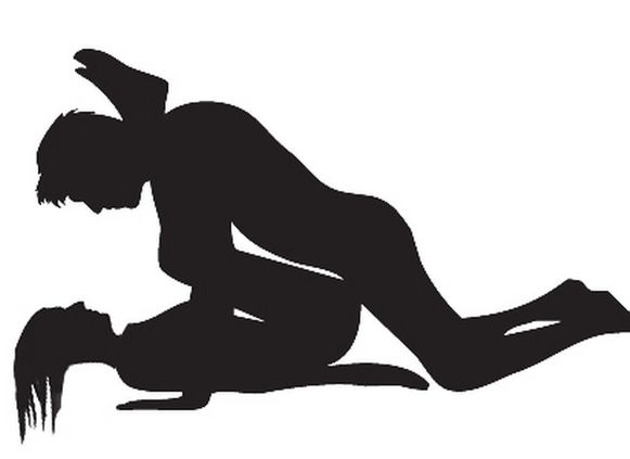 Sex Position Silhouette. 