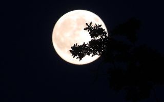 Fenomen astronomic rar: Super Lună şi eclipsă de Lună, simultan!