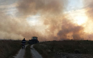 Dezastru pe plaja Vadu: Zeci de hectare de vegetaţie, arse de un incendiu - FOTO