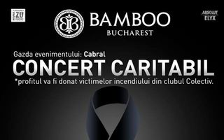 Concert caritabil cu peste 25 de artisti, in BAMBOO