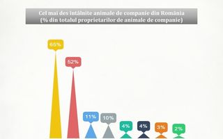 iSense Solutions: Jumătate dintre românii din mediul urban au cel puțin un animal de companie