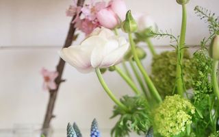 Casa ta. 30 de aranjamente florale în care să foloseşti bulbii de primăvară