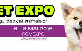 Pet Expo 2016 estimeaza incasari de 200.000 de euro din hrana si accesorii pentru animale