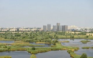 Decizie istorică pentru București: va fi înființat Parcul Natural Văcărești