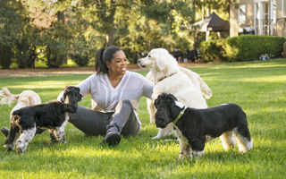 Oprah şi câinii ei: Fotografiile unei iubitoare de animale