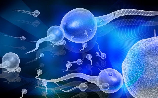 efectele anti-îmbătrânire ale spermei)
