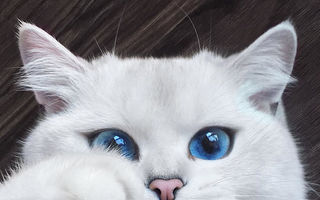 Are cei mai frumoşi ochi albaştri în care te pierzi. Motanul care te cucereşte instant
