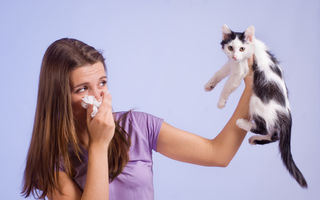 Cum scapi de alergia la pisici: 5 sfaturi utile