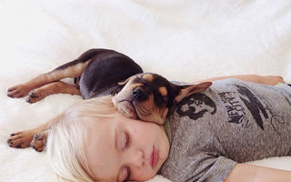 Iubire pură şi necondiţionată. 35 de fotografii cu câini şi copii surprinşi în timpul somnului