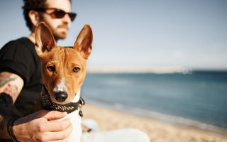 7 motive pentru care iubitorii de câini sunt parteneri minunați