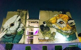 Graffiti în America Latină: Poveştile adunate de pe ziduri