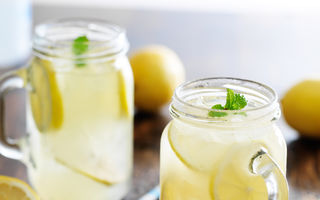 Cum să-ți faci limonadă în blender. Cea mai simplă și rapidă rețetă