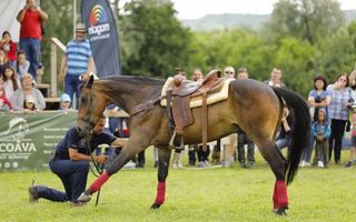 Poneii si caii au fascinat publicul la prima ediție a Karpatia Pony Show!