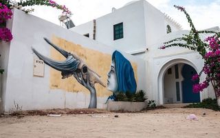 Cum se pot transforma satele prăfuite din Dobrogea şi Bărăgan în atracţii turistice: Modelul tunisian