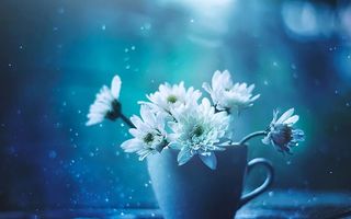 Frumuseţea lucrurilor simple din viaţa noastră: 30 de imagini cu flori care îţi încântă ochii şi inima
