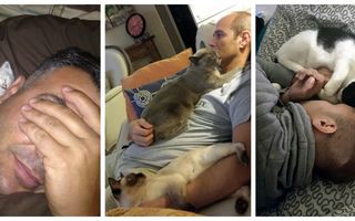 30 de fotografii cu oameni care au urât pisicile, dar acum nu pot trăi fără ele. Sunt tare amuzante!