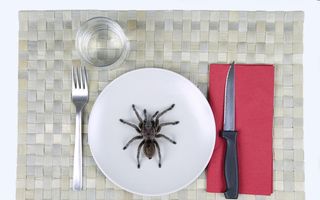 Ostatici la domiciliu: Un cuplu a fost terorizat de un păianjen cât o farfurie