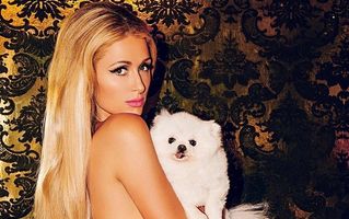 Paris Hilton îşi ţine câinii într-o „cuşcă“ de lux: o vilă în stil spaniol!