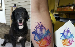 Cele mai reușite 15 tatuaje pentru iubitorii de câini