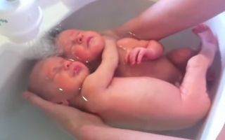 Video incredibil: Bebelușii gemeni care se țin în brațe și nu realizează că s-au născut
