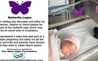 Care e semnificaţia fluturelui mov de pe pătuţul de bebeluş: Simbolul despre care părinţii nu vor să vorbească