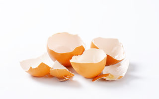 10 metode ca să folosești cojile de ouă în grădina ta. Nu le arunca!