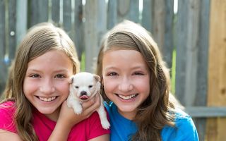 Câinii pot proteja copiii împotriva eczemelor și astmului. Iată ce spun specialiștii