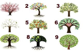 Test. Alege copacul care te reprezintă și află ce spune despre personalitatea ta