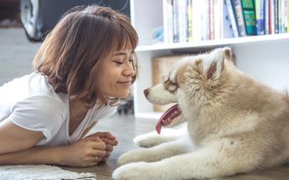 Stăpânii de câini trăiesc mai mult conform studiilor