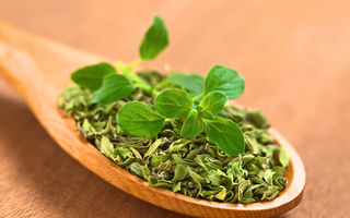 Ceaiul de oregano este foarte sănătos. Cum îl prepari și la ce este bun?