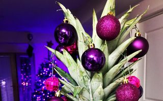 Cea mai mare ciudățenie: ananasul împodobit în locul bradului de Crăciun