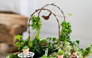 Cum să-ți faci o grădină în miniatură. 40 de idei