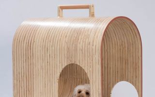 „Căsuţe“ cu stil: Cele mai neobişnuite modele de cuşti pentru câini