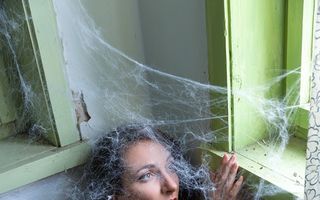 De ce nu ar trebui să omori niciodată un păianjen în casă