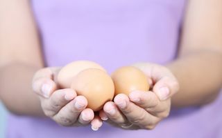 Medicamentele de cancer crescute în ouă de găină s-ar putea ieftini