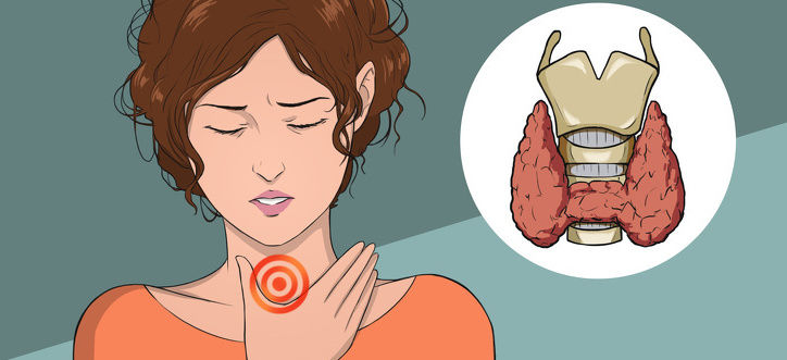 glanda tiroidă afectează erecția de ce poate exista o erecție slabă