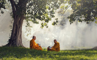 Adevărul despre fericire spus de maestrul budist Thich Nhat Hanh