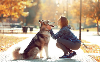 10 secrete pe care le știe câinele despre tine