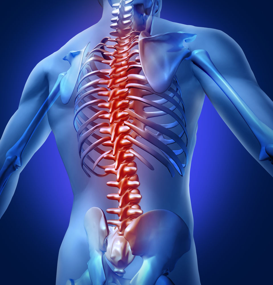 Un nou implant în coloana vertebrală ar putea ajuta oamenii paralizați să  meargă din nou - Sănătate > Medicina generala – Eva.ro”><span style=