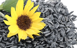 Cât de sănătoase sunt semințele de floarea-soarelui