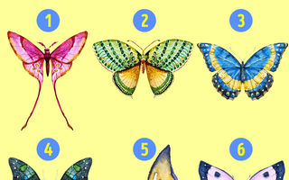 Alege un fluture şi descoperă latura ascunsă a personalităţii tale