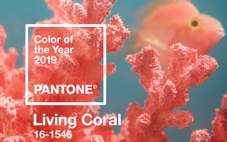 Ce semnificație are Living Coral, desemnată de Pantone culoarea anului 2019