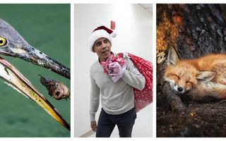 Imaginile anului: 45 de fotografii care ne-au impresionat în 2018