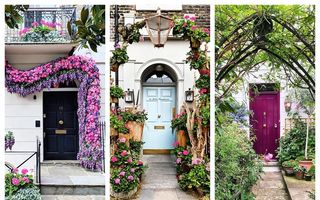 Ce frumuseți! Casele cu cele mai frumoase uși de intrare din Londra