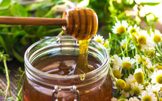 Mușețel și miere: 8 beneficii pentru sănătate