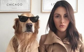 Câinele cu costum și ochelari: 22 de imagini geniale în care se comportă ca un om